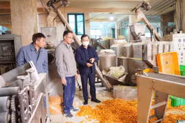 Kiểm tra đột xuất 7 cơ sở thực phẩm thì 6 phải tạm dừng hoạt động, càng gần Tết càng lo