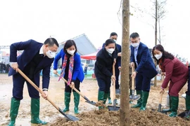 Hà Nội tổ chức kỷ niệm 1982 năm khởi nghĩa Hai Bà Trưng và phát động Tết trồng cây ở Mê Linh