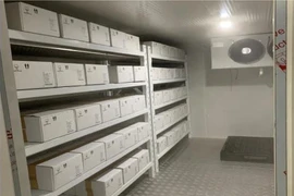 Việt Nam còn hơn 432.000 liều vaccine COVID-19 đang bảo quản trong kho