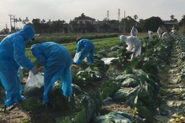 Chuyên gia: Chưa có thông tin về khả năng SARS-CoV-2 lây lan qua thực phẩm tươi