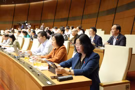 Tuần tới, Quốc hội bàn cơ chế gỡ vướng cho các dự án, đất đai bị thanh tra ở TP.HCM, Đà Nẵng...