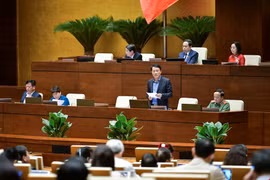 Ngày 26-11, Quốc hội thảo luận về phòng chống tội phạm, tham nhũng