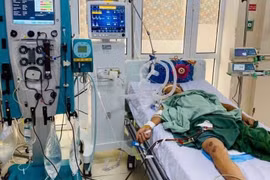 Hà Nội: Chỉ vài giờ sau khi mổ lợn chết, người đàn ông sốt rét rồi sốc nguy kịch