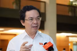 Giá xăng dầu tăng kỷ lục, ĐBQH ngạc nhiên “không có lý do gì mà lại không nhập xăng giá rẻ”