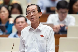 ĐBQH khao khát một ngày nào đó Việt Nam có hệ thống đường sắt cao tốc hiện đại 