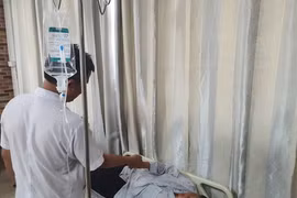 Tám người nhập viện cấp cứu sau khi ăn cá chình ở nhà hàng