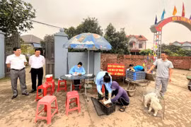 Chó dại cắn 3 người ở Sóc Sơn, Hà Nội: Đang xử lý triệt để ổ dịch