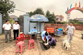 Chó dại cắn 3 người ở Sóc Sơn, Hà Nội: Đang xử lý triệt để ổ dịch