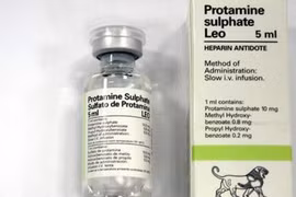 Nguy cơ thiếu thuốc chống đông máu trong phẫu thuật tim, lồng ngực