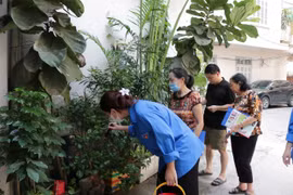 Số mắc sốt xuất huyết tại Hà Nội vượt mốc 500 ca/ tuần
