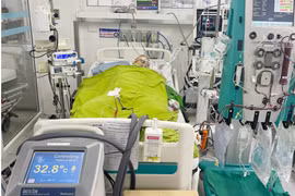 Câu cá dưới đường dây cao thế, người đàn ông bị điện giật nguy kịch