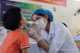 Gần 500 học sinh Tiểu học ở huyện Đan Phượng được khám răng miệng miễn phí