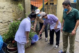 Bộ Y tế: El nino làm gia tăng sự lây truyền bệnh sốt xuất huyết, viêm não