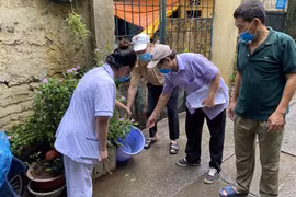 Bộ Y tế: El nino làm gia tăng sự lây truyền bệnh sốt xuất huyết, viêm não
