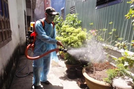 TP HCM thêm một ca tử vong do sốt xuất huyết, Hà Nội đề cao cảnh giác