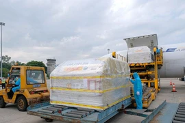 Gần 100.000 liều vaccine COVID-19 của Pfizer đầu tiên đã về đến Hà Nội