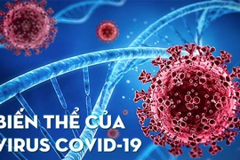 Mỗi ngày nghỉ lễ ghi nhận trên 1.500 ca Covid-19 mới, 60% mang biến thể BA.5 dễ tái nhiễm