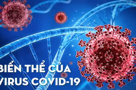 Mỗi ngày nghỉ lễ ghi nhận trên 1.500 ca Covid-19 mới, 60% mang biến thể BA.5 dễ tái nhiễm