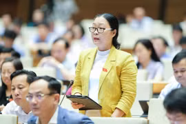 Thu hút các tổ chức nước ngoài đến Việt Nam quay phim nhưng phải đảm bảo an ninh, chính trị