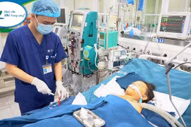 Bé trai 10 tuổi tử vong do bị ong đốt trên đường đi học