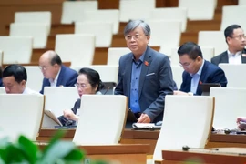 ĐBQH: Nhiều tờ báo của Hà Nội và TP HCM là vốn quý của địa phương, nên được tạo điều kiện