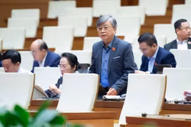 ĐBQH: Nhiều tờ báo của Hà Nội và TP HCM là vốn quý của địa phương, nên được tạo điều kiện