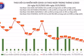 20 tỉnh, thành phố không ghi nhận bệnh nhân Covid-19, chỉ còn 216 ca nặng