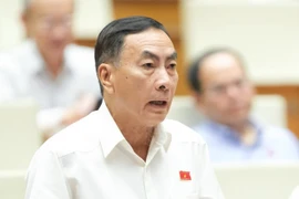 ĐBQH đề nghị bỏ giá sàn với vé máy bay, đưa điện vào danh mục hàng bình ổn giá