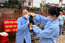 Hà Nội: Thêm một ổ dịch bệnh dại ở Sóc Sơn, 21 ổ dịch sốt xuất huyết mới