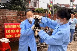 Hà Nội: Thêm một ổ dịch bệnh dại ở Sóc Sơn, 21 ổ dịch sốt xuất huyết mới