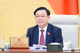 Không chỉ vụ bỏ cọc đất Thủ Thiêm, còn nhiều hiện tượng bất thường liên quan mua bán đất đai