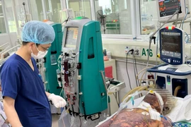 Một người làm nghề giết mổ lợn nhập viện, nguy kịch vì liên cầu khuẩn