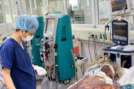 Một người làm nghề giết mổ lợn nhập viện, nguy kịch vì liên cầu khuẩn