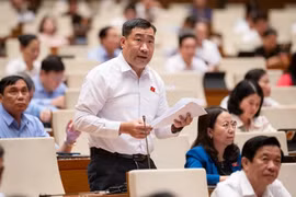 ĐBQH đề nghị cấm mặc áo, sử dụng trang phục có in logo doanh nghiệp vào nghị trường