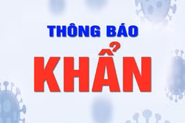 Tìm người tới một quán vịt ở quận Thanh Xuân có 6 ca dương tính và 10 địa điểm khác ở Hà Nội