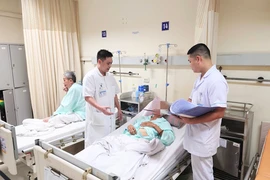 Đỡ đẻ cho lợn, người đàn ông bị lợn cắn đứt tinh hoàn