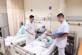 Đỡ đẻ cho lợn, người đàn ông bị lợn cắn đứt tinh hoàn