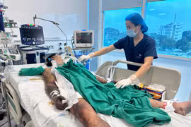 Mùng 1 đi ăn tiết canh “lấy đỏ”, nam thanh niên ở Bắc Ninh nguy kịch