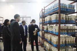 Hà Nội: Phát hiện hơn 1.000 cơ sở vi phạm an toàn thực phẩm sau một tháng ra quân kiểm tra