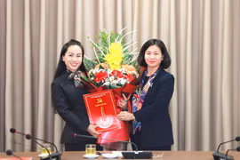 Bà Phạm Thị Mỹ Hoa được điều động để bầu Phó Chủ tịch Hội Liên hiệp Phụ nữ thành phố Hà Nội