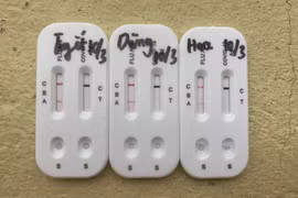 Gần 240 học sinh ở một thị trấn của tỉnh Lào Cai phải nghỉ học vì ốm, nghi cúm A