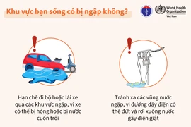 Bộ Y tế khuyến cáo các biện pháp bảo vệ sức khỏe trong và sau ngập lụt