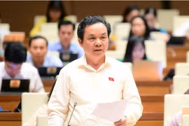 ĐBQH: Tư nhân tham gia làm đường sắt, phải kiểm soát việc thuê nước ngoài hay bán lại dự án