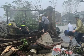 Bộ Y tế yêu cầu không để gián đoạn việc cấp cứu người dân bị nạn trong bão số 10