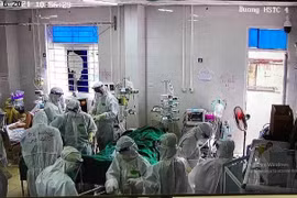 Hai bệnh nhân Covid-19 diễn biến nặng phải chạy ECMO, một thai phụ 22 tuần khó giữ con