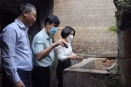 Hà Nội: Gần 500 ca sốt xuất huyết mỗi tuần, 45% số điểm giám sát vượt ngưỡng nguy cơ