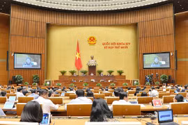 31 điểm mới trong Luật Người lao động Việt Nam đi làm việc ở nước ngoài (sửa đổi)