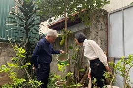 Số mắc sốt xuất huyết ở Hà Nội gia tăng, một số ổ dịch kéo dài