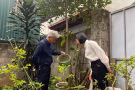 Số mắc sốt xuất huyết ở Hà Nội gia tăng, một số ổ dịch kéo dài