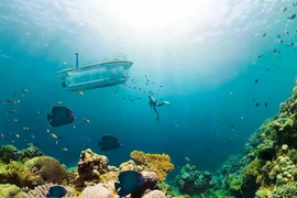 Gia hạn thời gian thí điểm dịch vụ tàu lặn tại vịnh Nha Trang đến hết tháng 3-2025